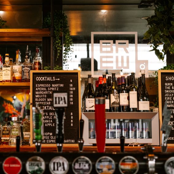 Brew Co-Mount Maunganui